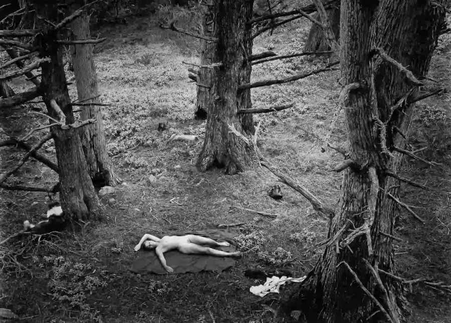 Woman And Dog In Forest 1953 Nude Photography Print