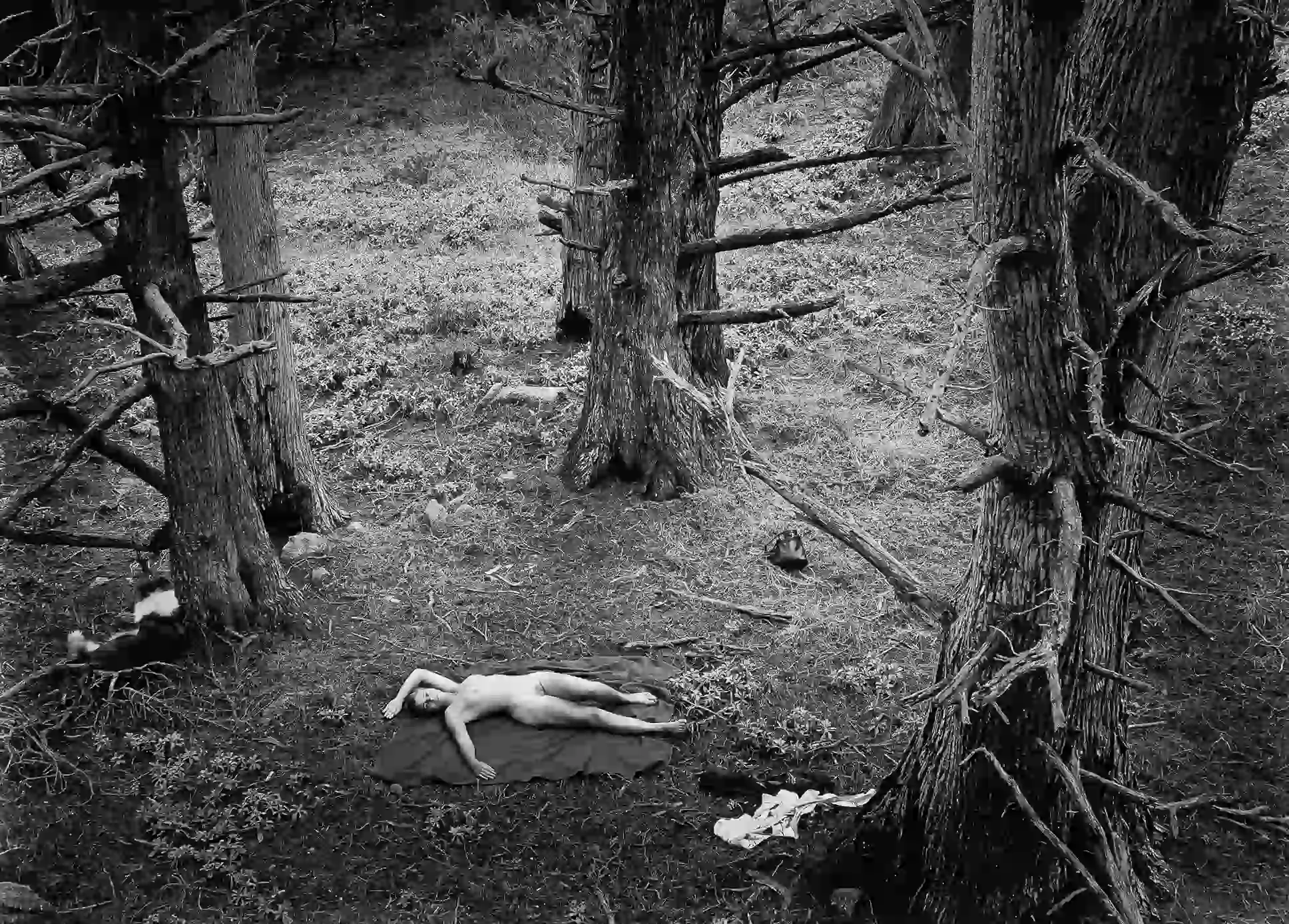Woman And Dog In Forest 1953 Nude Photography Print