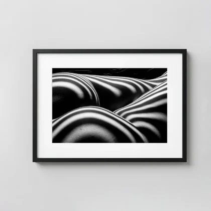 Zebra Nude 1997 Photography Print