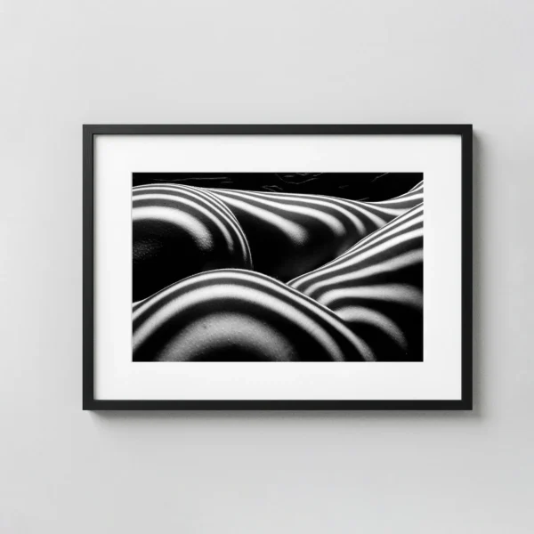 Zebra Nude 1997 Photography Print