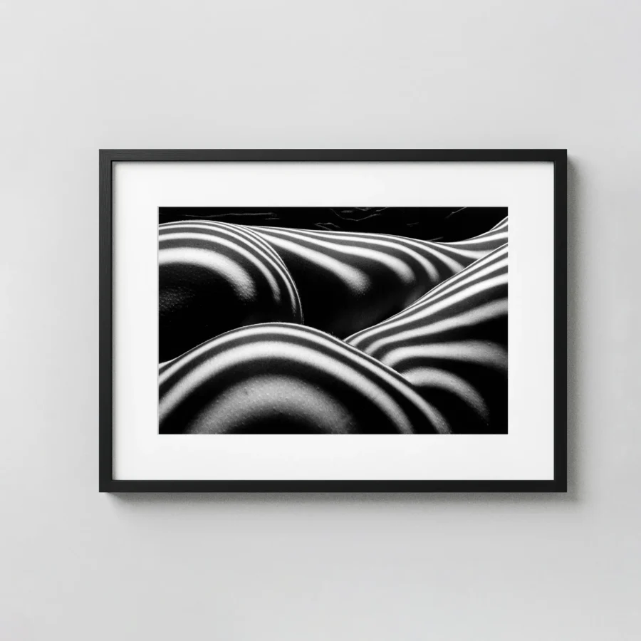 Zebra Nude 1997 displayed as a framed wall mockup