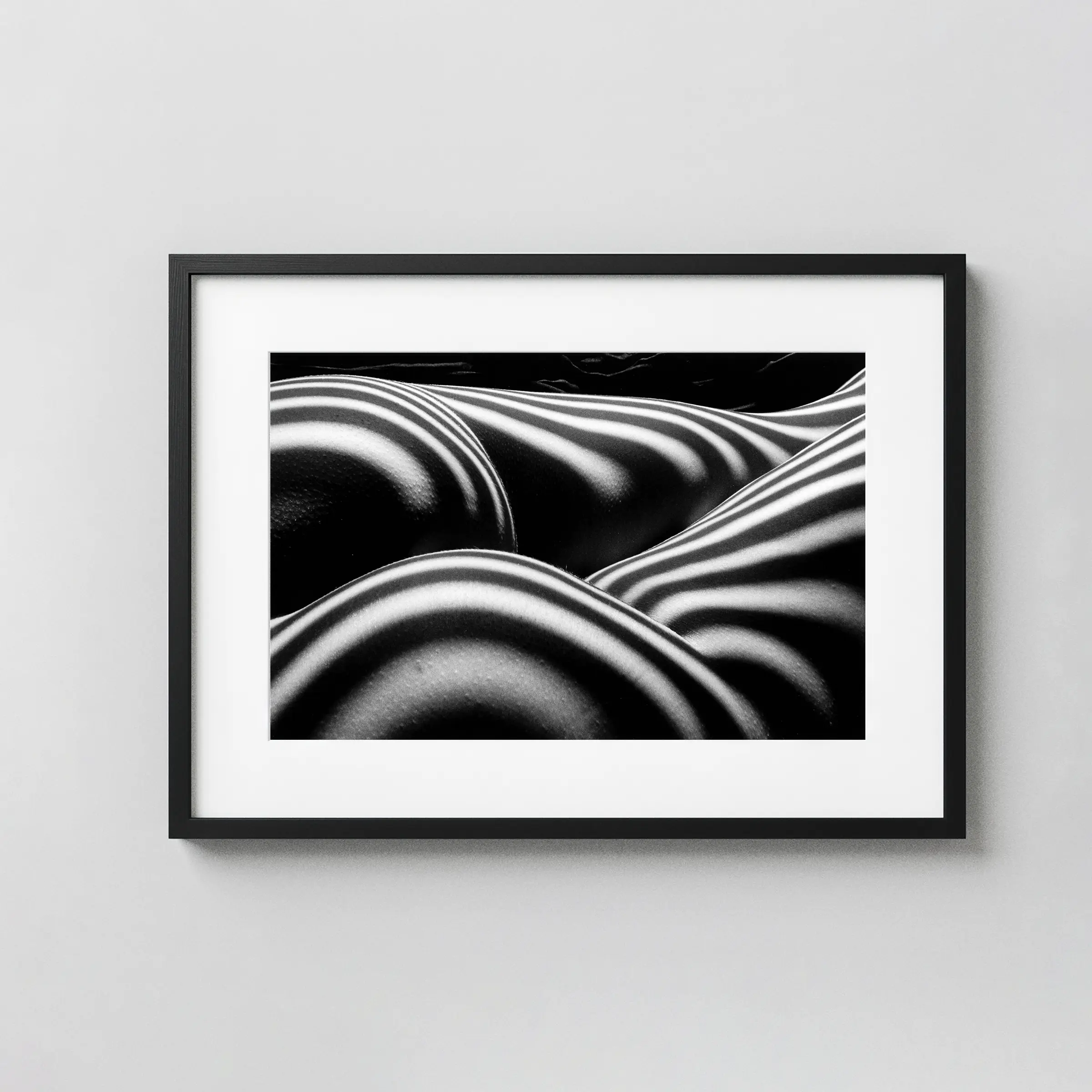Zebra Nude 1997 displayed as a framed wall mockup