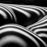Zebra Nude 1997 Photography Print