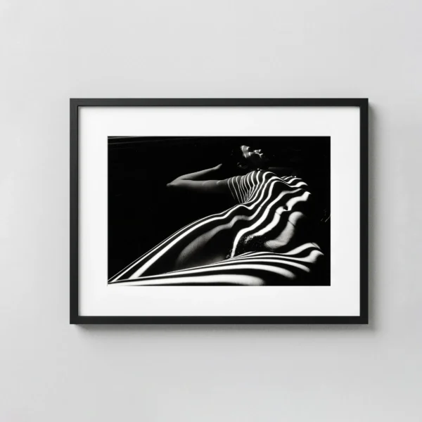 Zebra Nude 1998 Photography Print