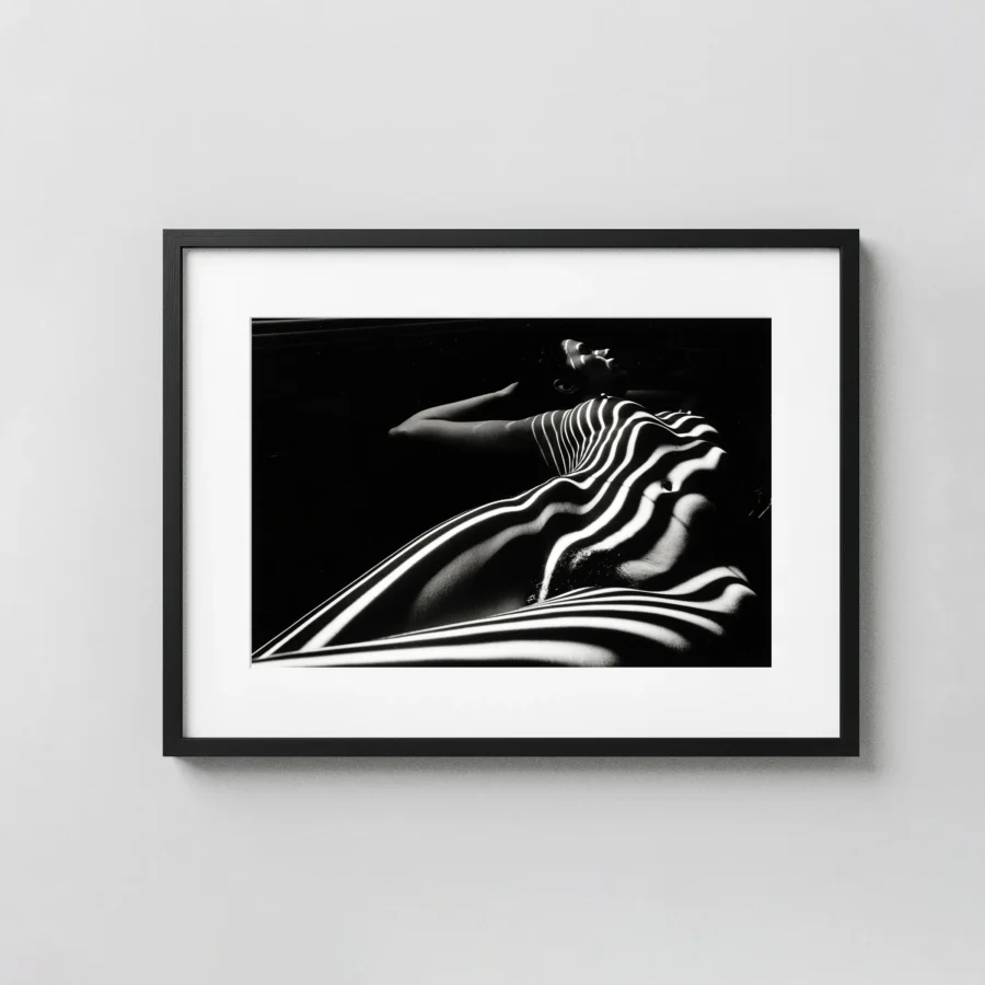 Zebra Nude 1998 displayed as a framed wall mockup