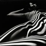 Zebra Nude 1998 Photography Print