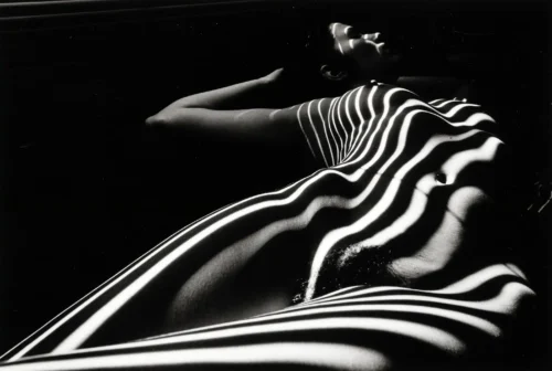Zebra Nude 1998 Photography Print