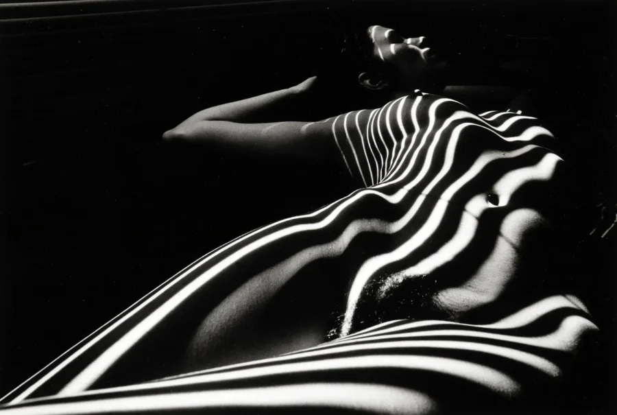Zebra Nude 1998 Photography Print