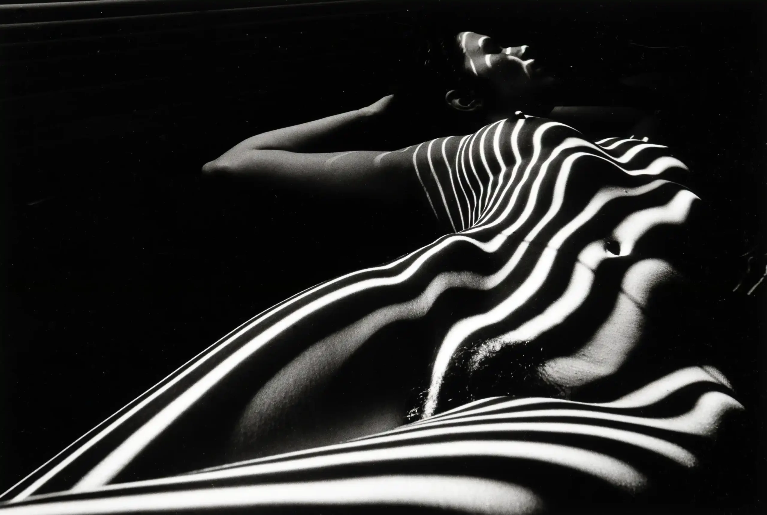 Zebra Nude 1998 Photography Print