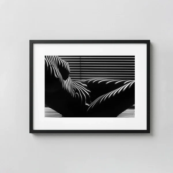 Zebra Nude New York 1997 Photography Print