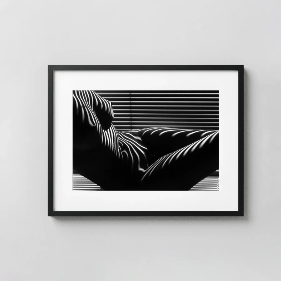 Zebra Nude New York 1997 displayed as a framed wall mockup