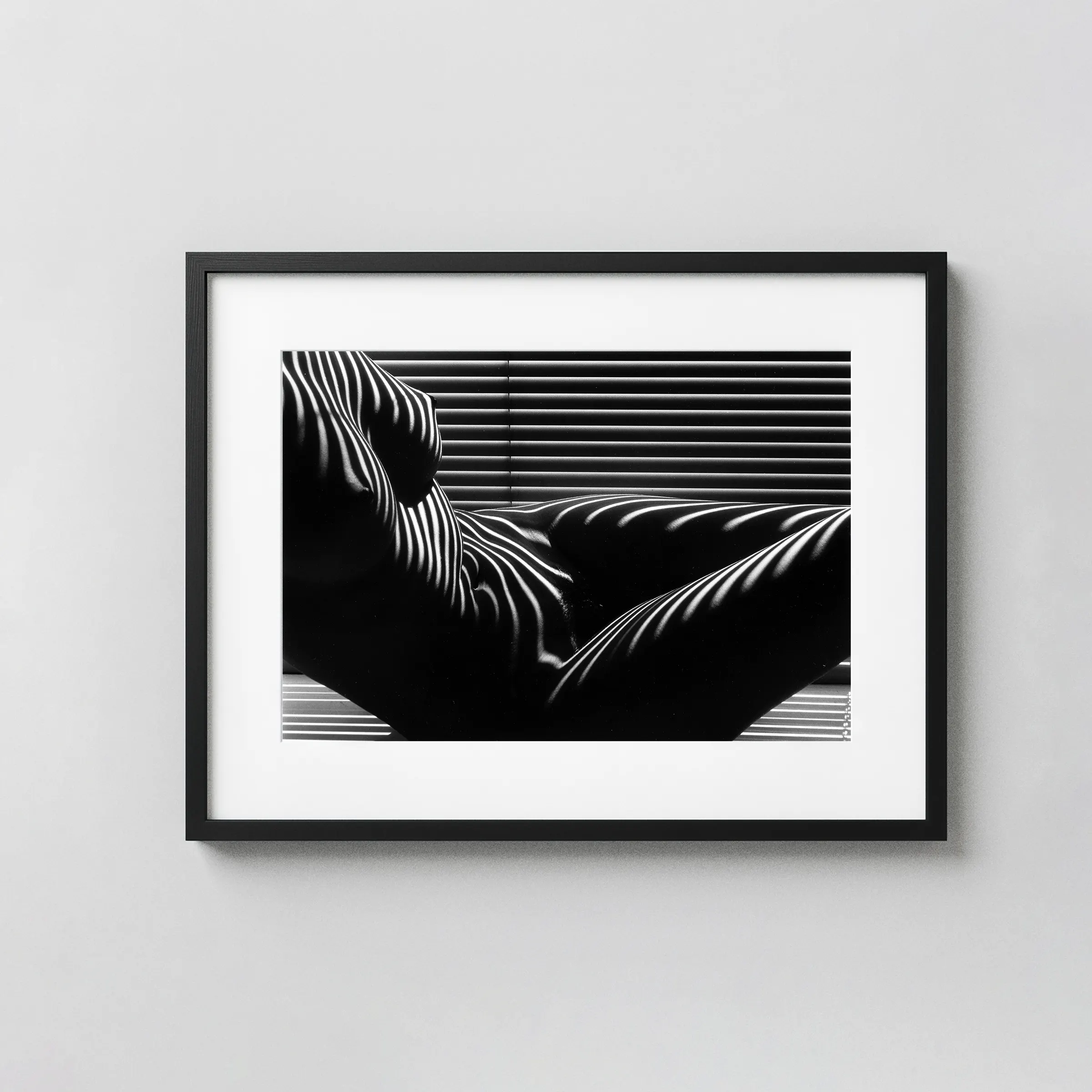 Zebra Nude New York 1997 displayed as a framed wall mockup