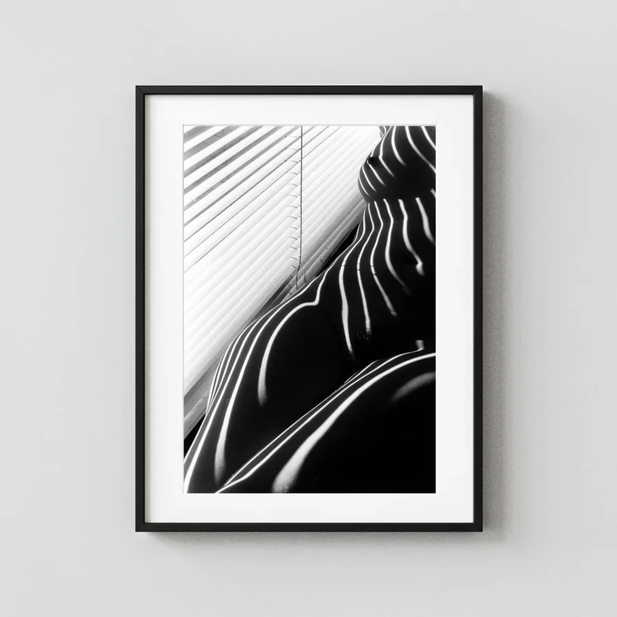 Zebra Nudes 1998 1 displayed as a framed wall mockup