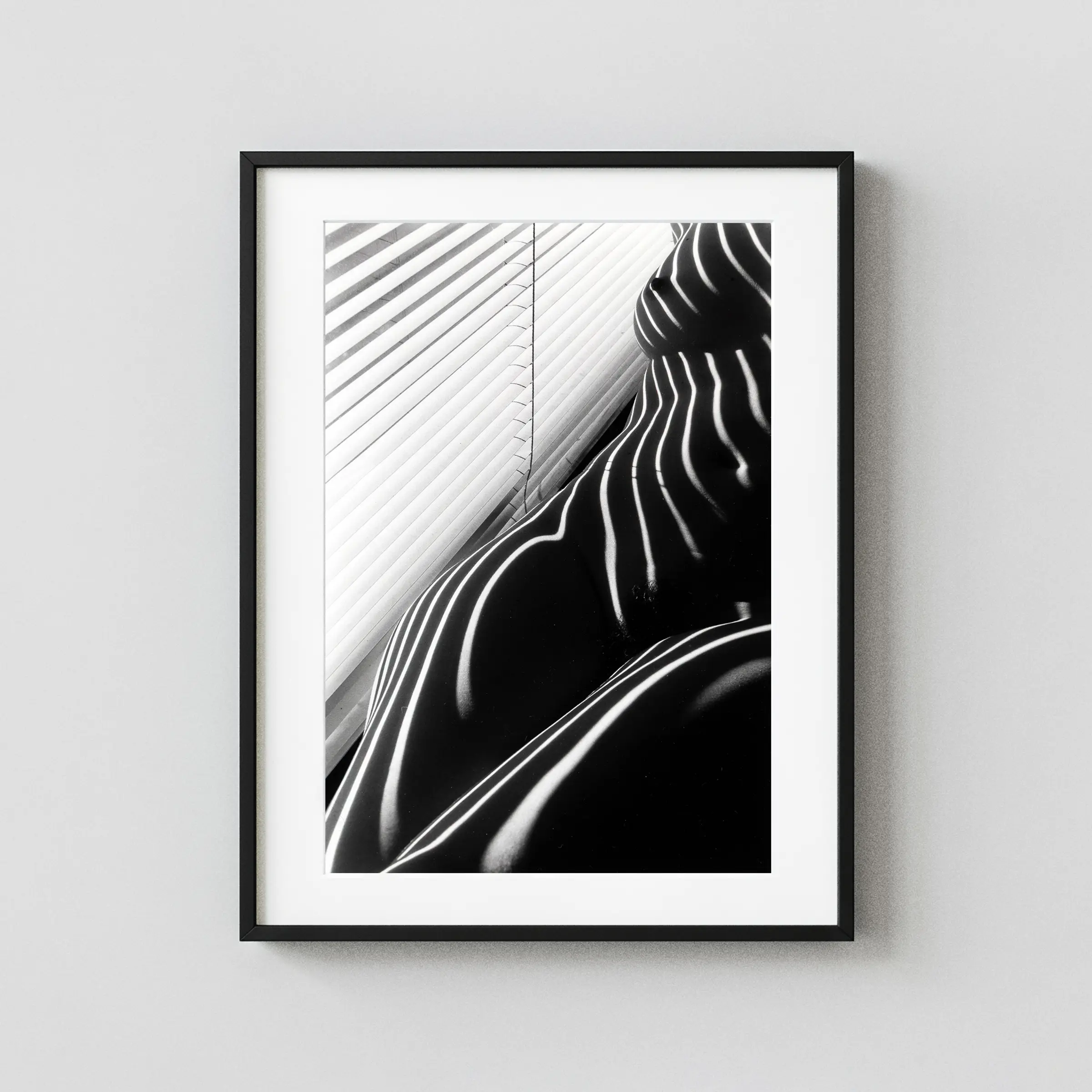 Zebra Nudes 1998 1 displayed as a framed wall mockup
