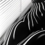 Zebra Nudes 1998 1 Photography Print