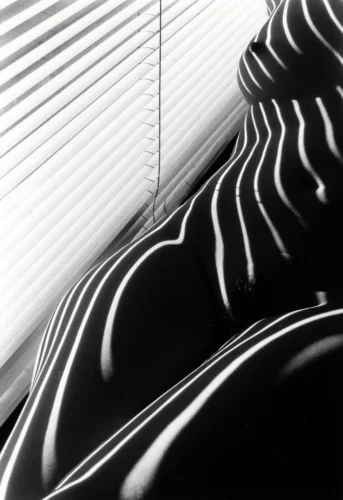 Zebra Nudes 1998 1 Photography Print