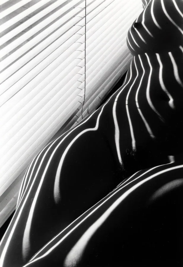 Zebra Nudes 1998 1 Photography Print