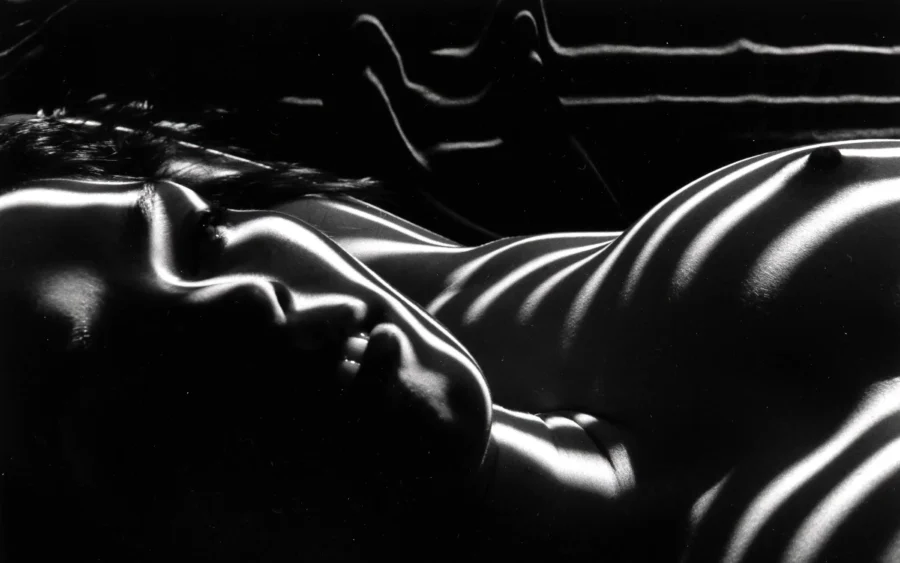 Zebra Nudes 1998 Photography Print