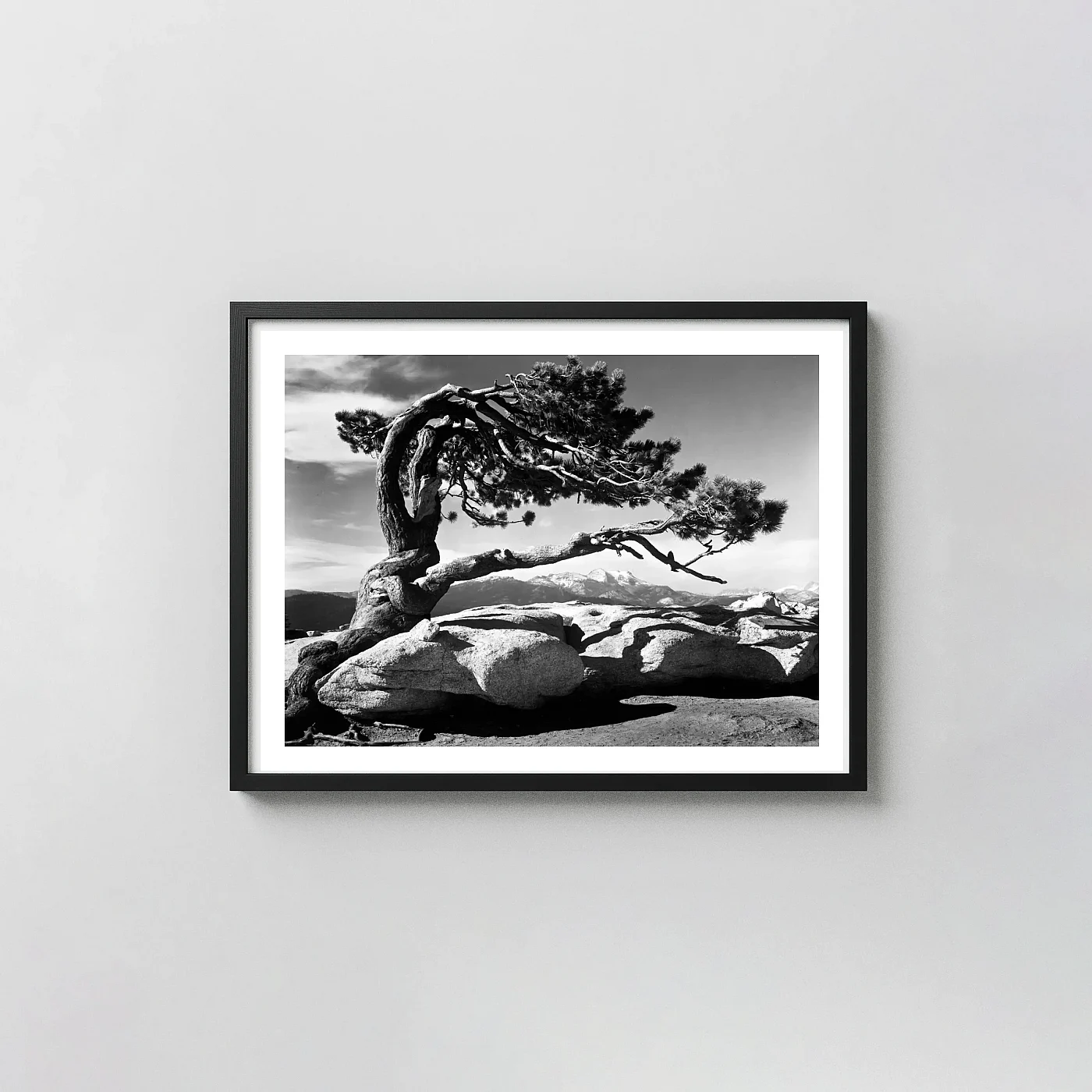 Ansel Adams Jeffrey Pine Fine Art Poster Yosemite Black & White photography print - photography wall art print