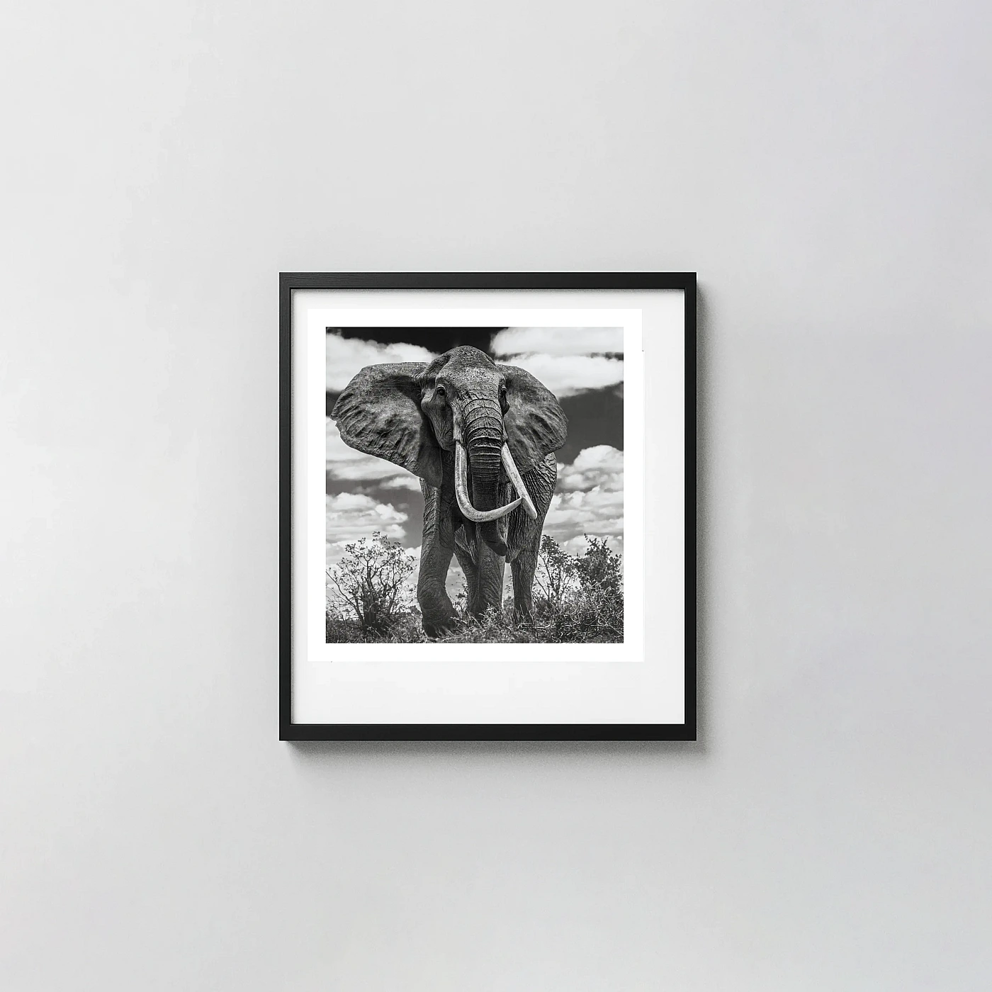 David Yarrow Style Elephant | Wildlife Photography Poster | Dramatic Black & White Art Photography Prints xe2x80x93 Square Frame Wall Art Mockup | MerchFuse