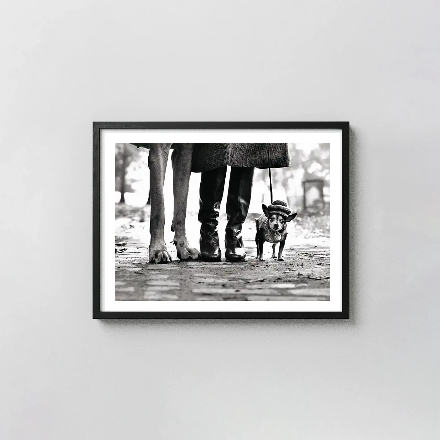 Elliott Erwitt Dog Legs Classic Photography Poster Black & White - photography wall art print
