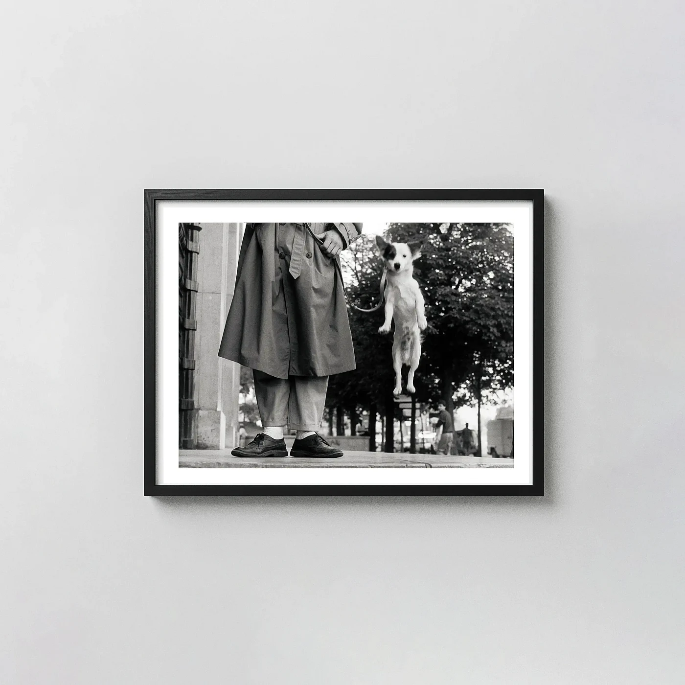 Elliott Erwitt Dog Jump Fine Art Photography Poster Classic Black & White - photography wall art print