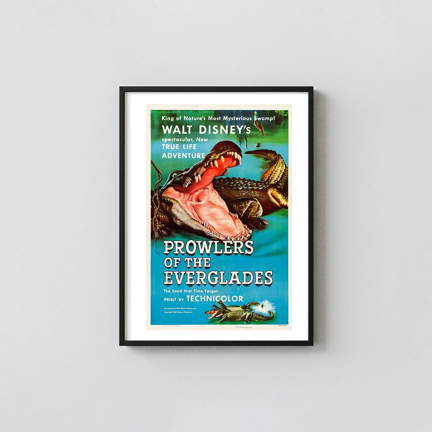 Prowlers of the Everglades | Movie Poster | Vintage Disney Alligator Art Action & Adventure Movie Posters xe2x80x93 Portrait Frame Wall Art Mockup | MerchFuse