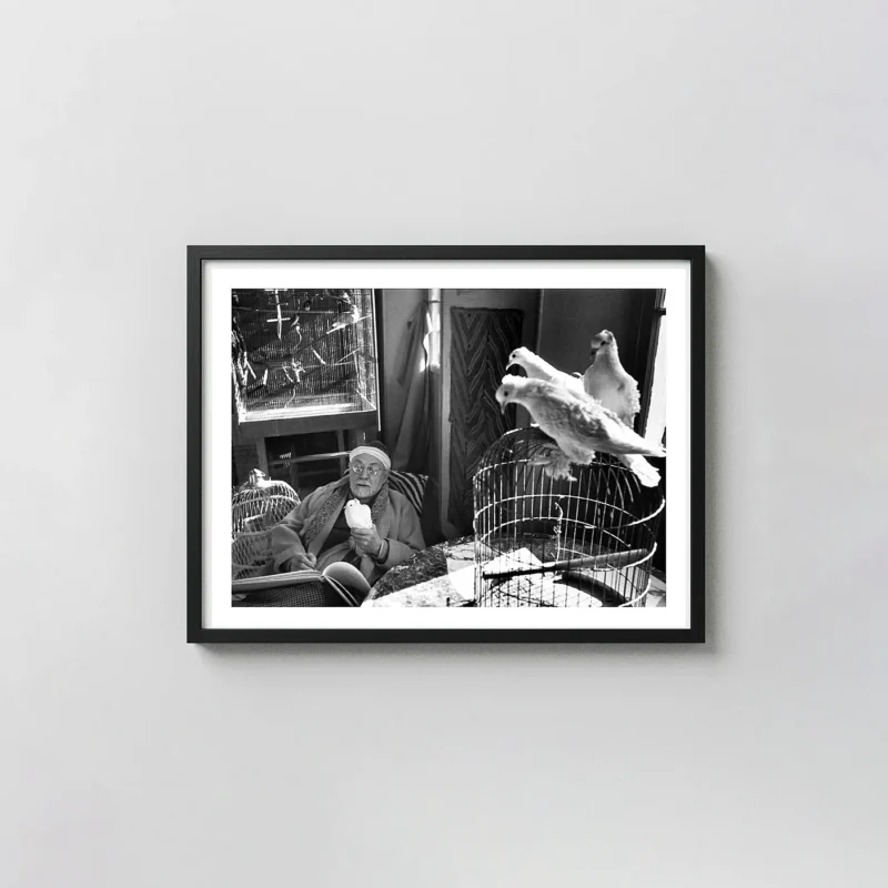 Henri Matisse Portrait Print, Cartier-Bresson Vence 1944 Wall Art