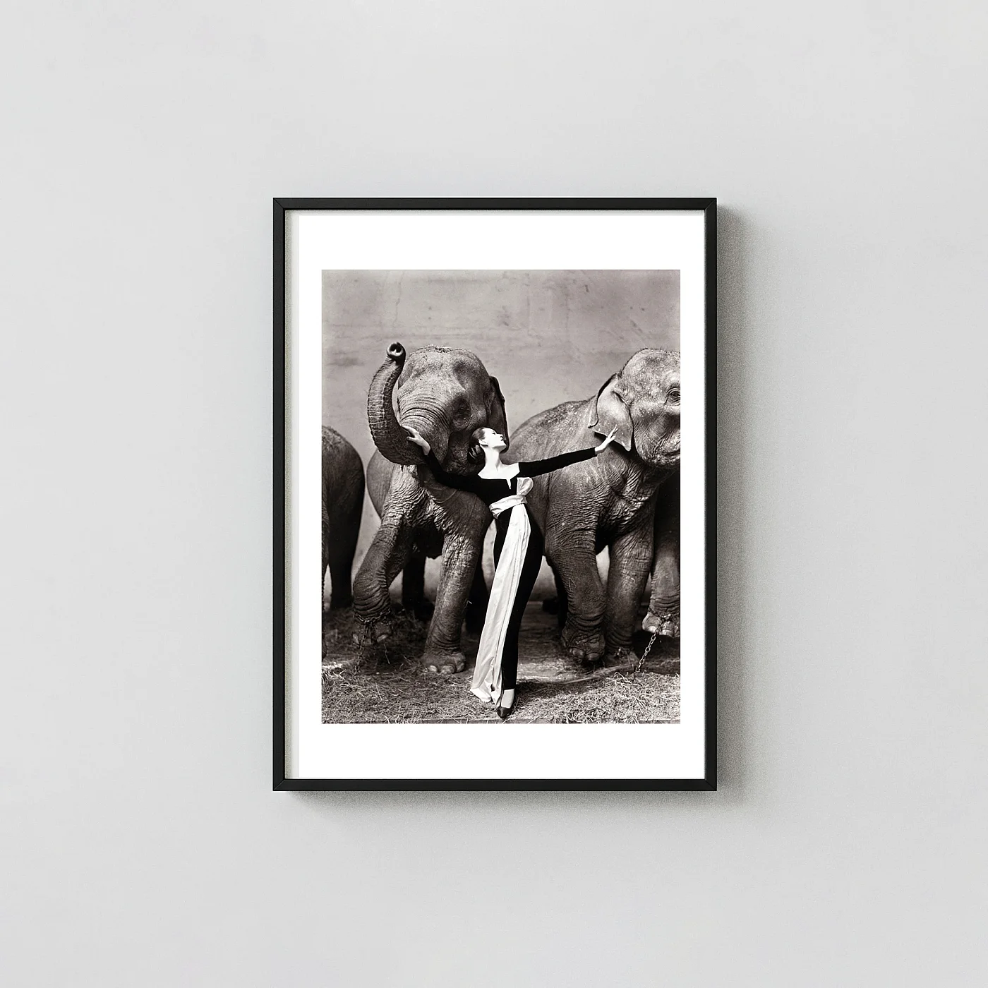 Dovima with Elephants Poster, Richard Avedon Fashion Photography - photography wall art print