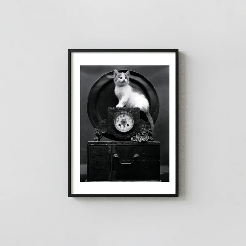Edward Weston Poster, Mary (Cat) on Clock 1945 Fine Art Photography Print
