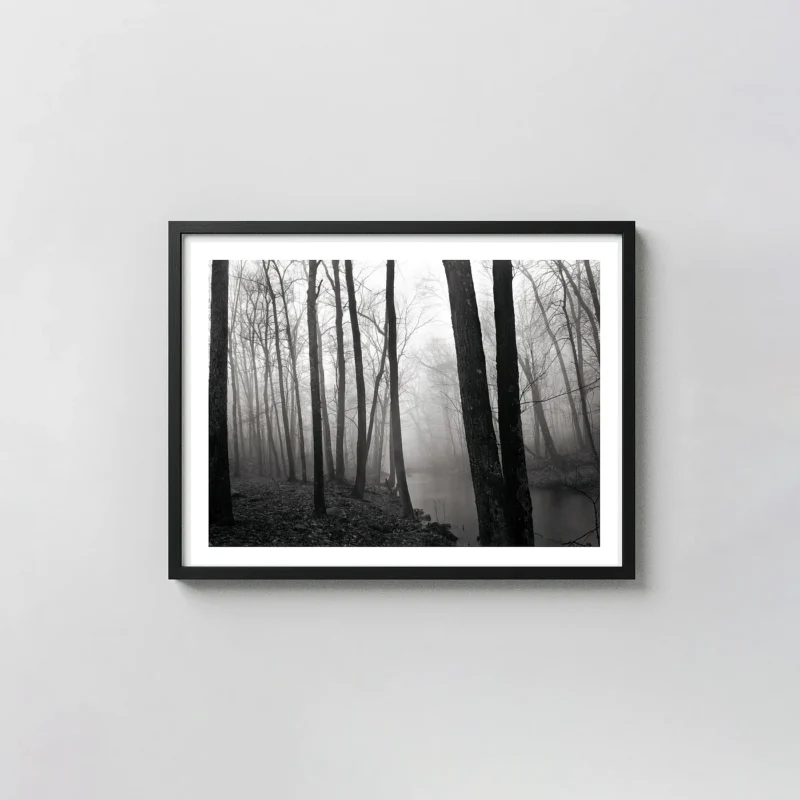 Paul Caponigro Print, Fog and Trees Redding 1968 Photography