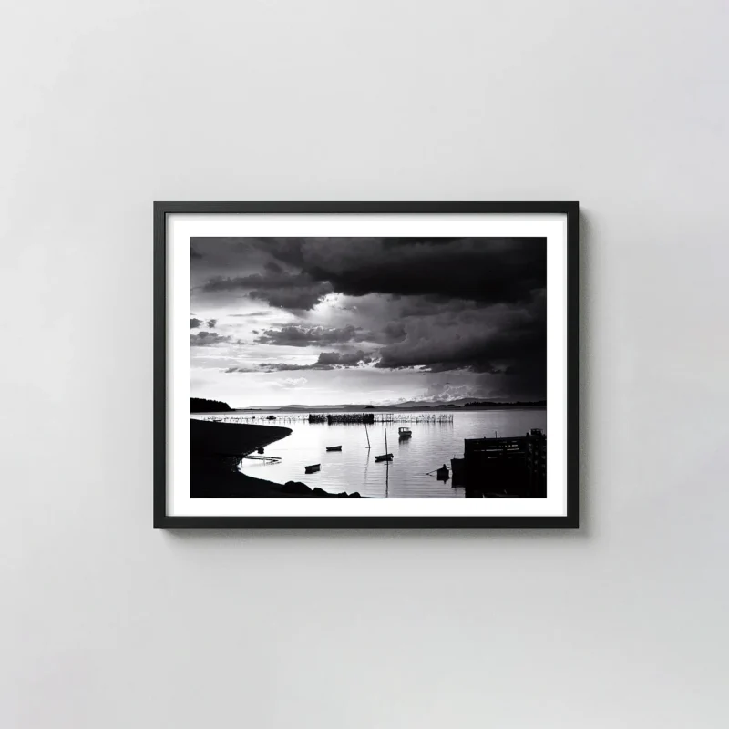 Eliot Porter Print, Penobscot Bay, Maine (1938) Black and White Nature Photography Wall Art