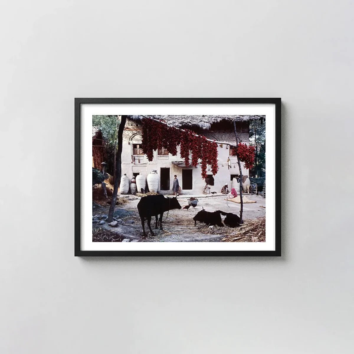 Raghubir Singh | Fine Art Photography Poster | Hanging Red Chili Peppers Photography Prints xe2x80x93 Landscape Frame Wall Art Mockup | MerchFuse