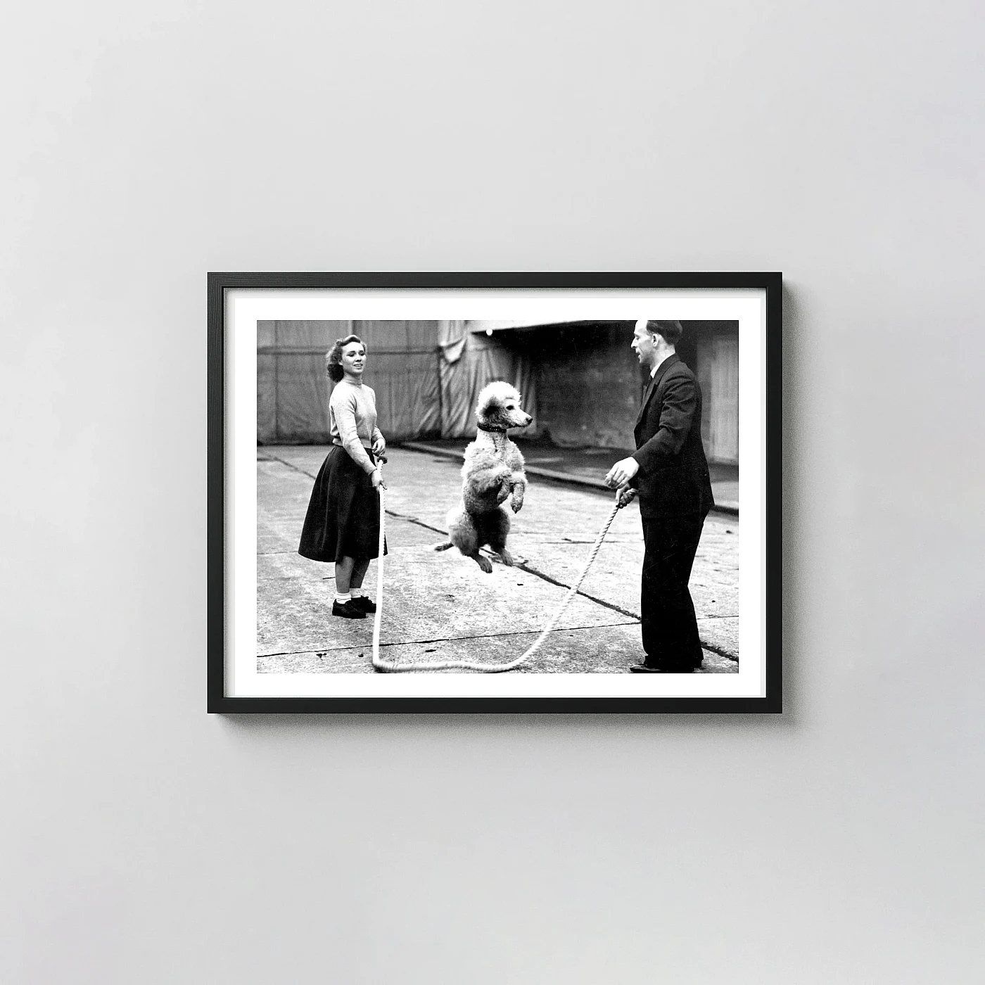 Poodle Jump Rope Print | Funny Animal Black And White Wall Art Poodle Jump Rope Print | Funny Animal Black And White Photography Prints Xe2X80X93 Landscape Frame Wall Art Mockup | Merchfuse