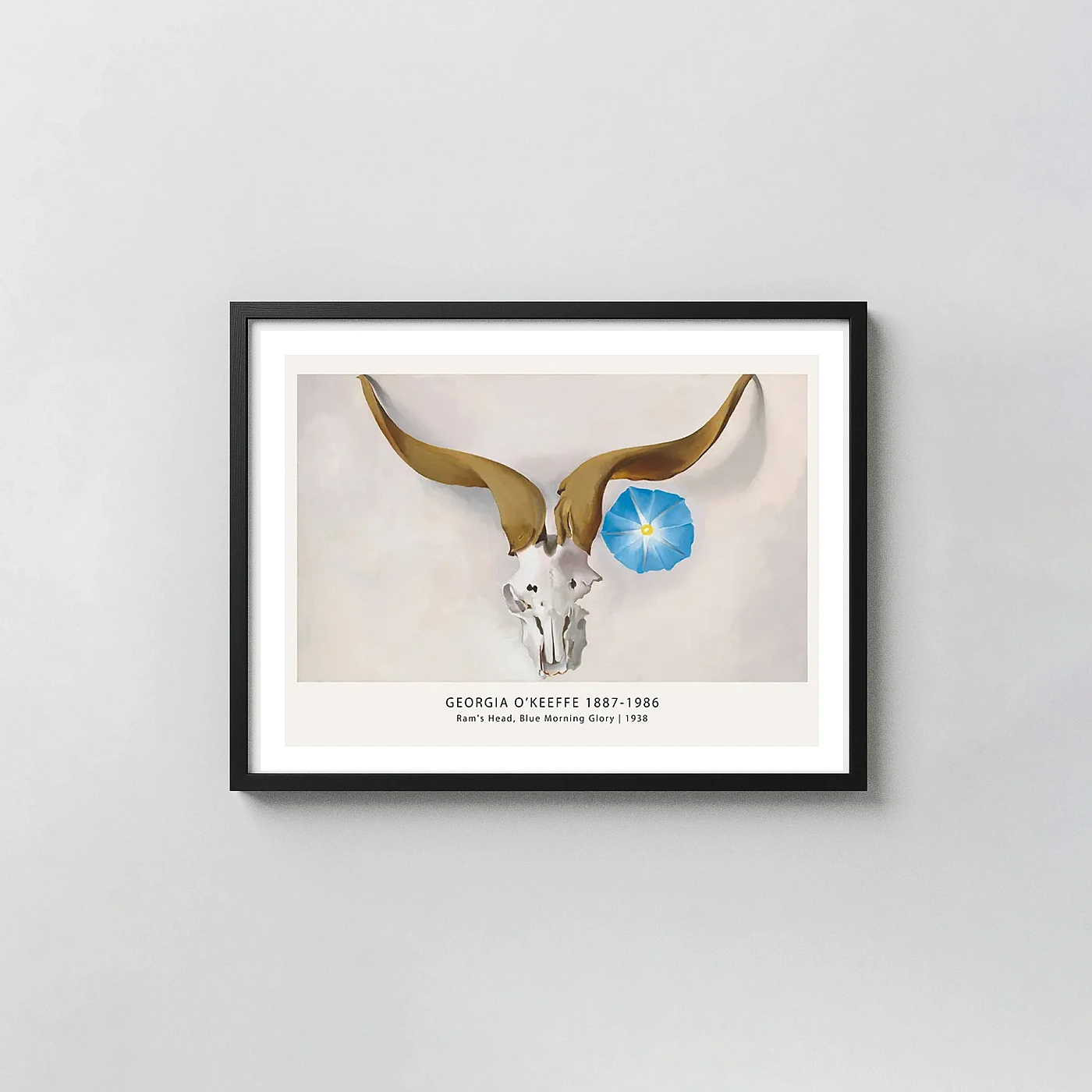 Authentic Ram's Head Blue Morning Glory art print - fine art poster print