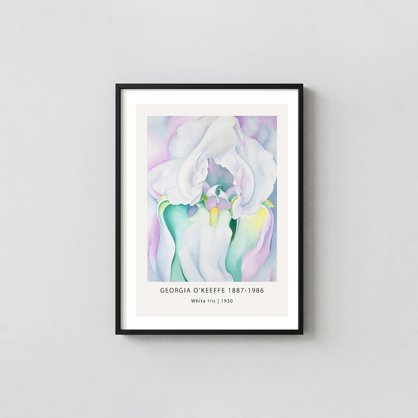 White Iris art print - fine art poster print