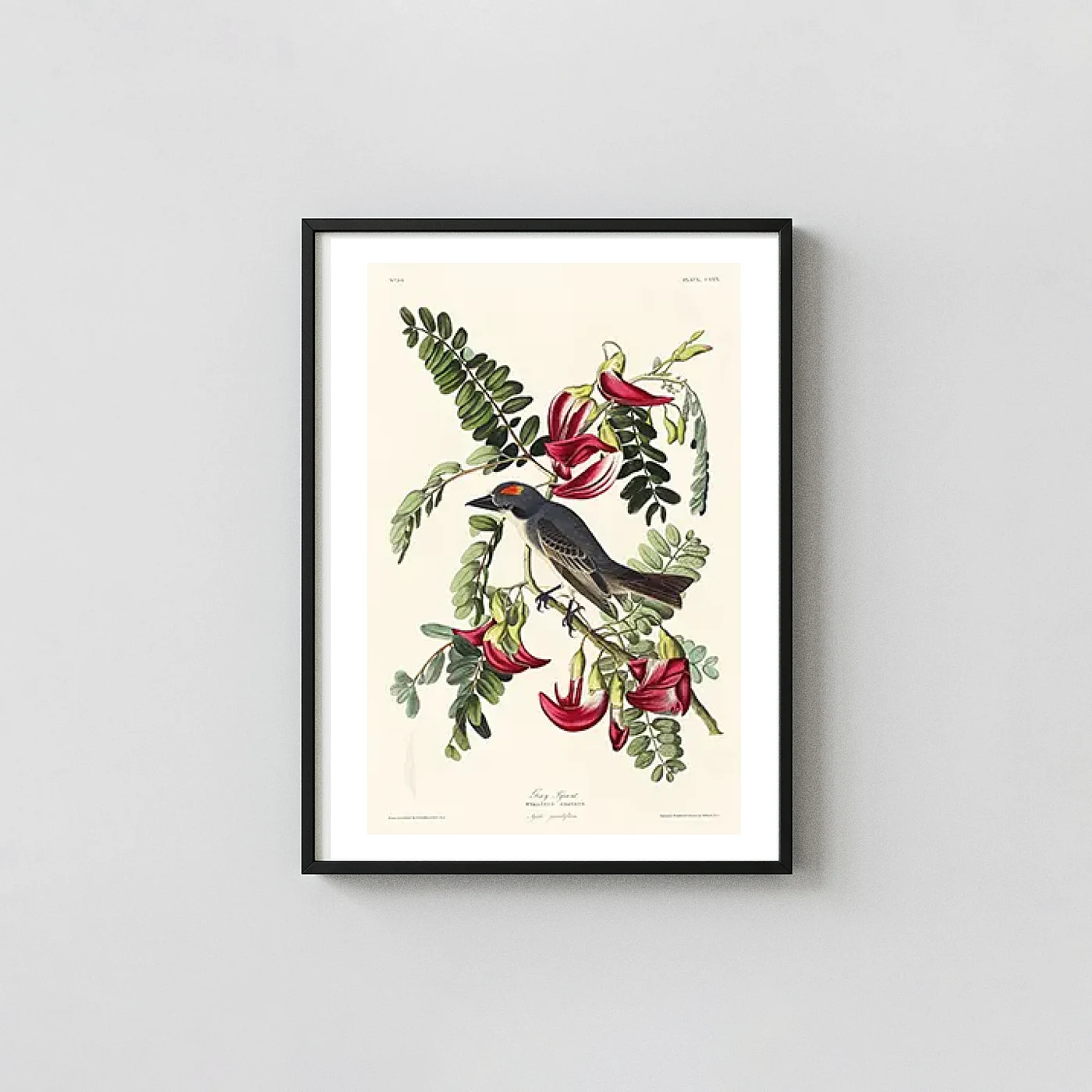 Vintage Bird art print - fine art poster print