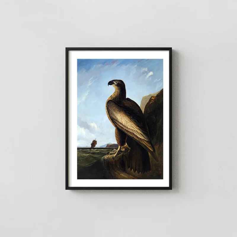 Classic Washington Sea Eagle print - Audubon Birds of America Wall Art