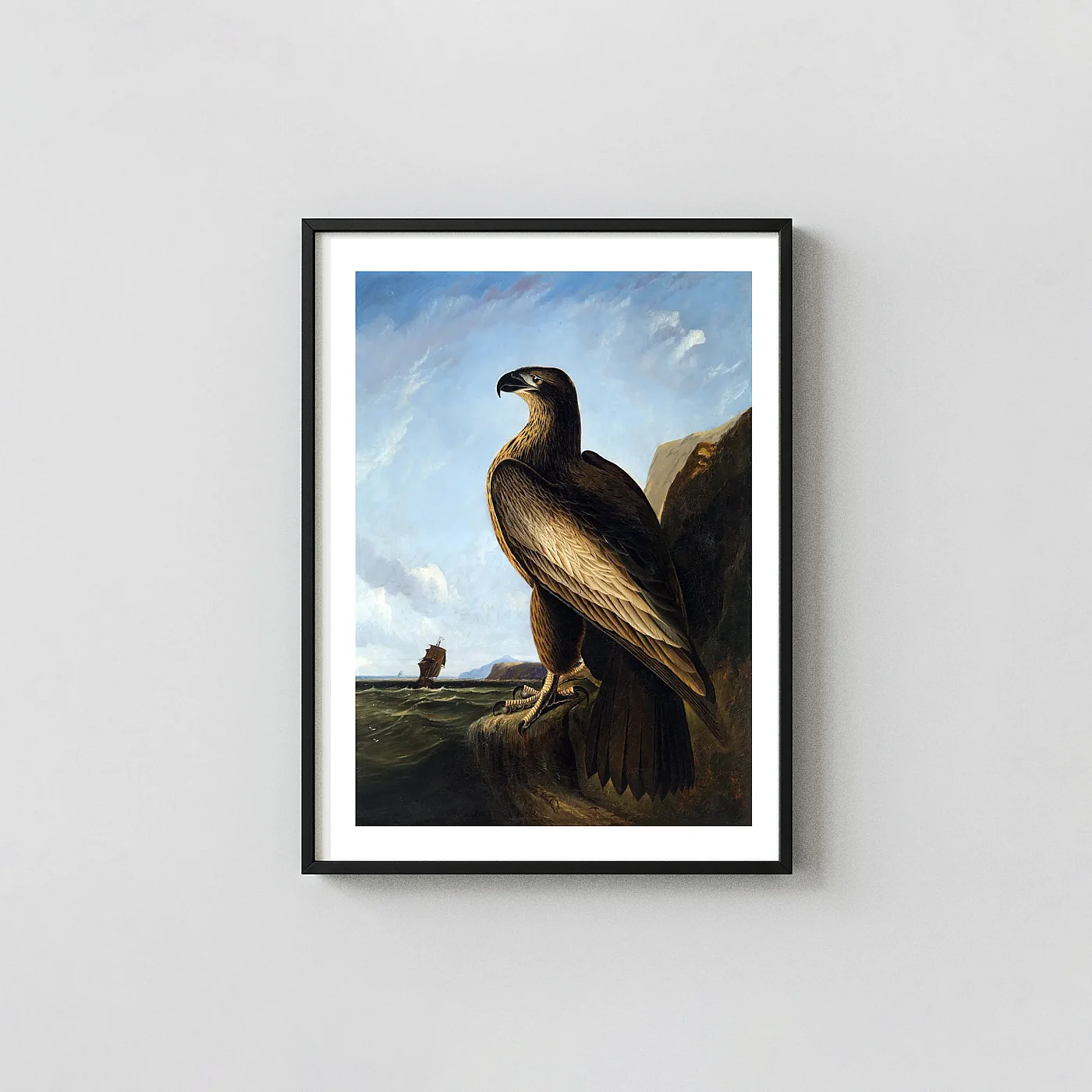 Classic Washington Sea Eagle art print - fine art poster print